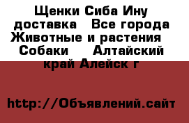 Щенки Сиба Ину доставка - Все города Животные и растения » Собаки   . Алтайский край,Алейск г.